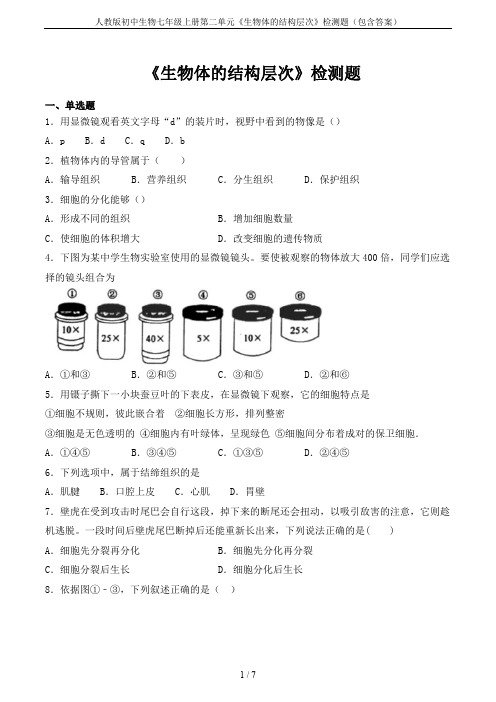 人教版初中生物七年级上册第二单元《生物体的结构层次》检测题(包含答案)