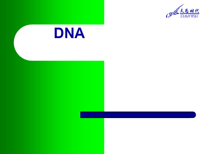 DNA片段的克隆及常见的问题