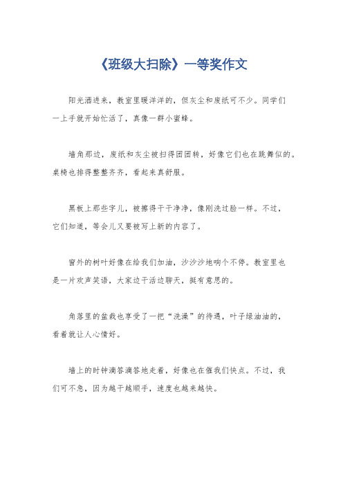 《班级大扫除》一等奖作文