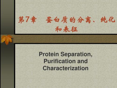 第7章蛋白质的分离、纯化和表征