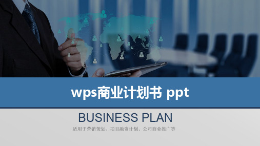 wps商业计划书 ppt