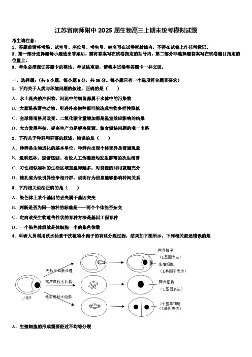 江苏省南师附中2025届生物高三上期末统考模拟试题含解析