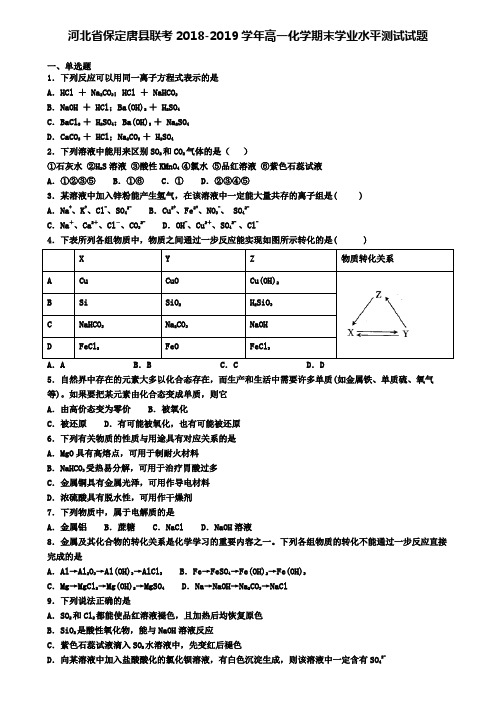 河北省保定唐县联考2018-2019学年高一化学期末学业水平测试试题