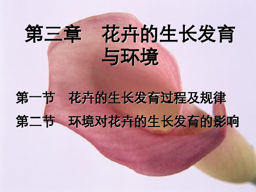 花卉生长发育与环境