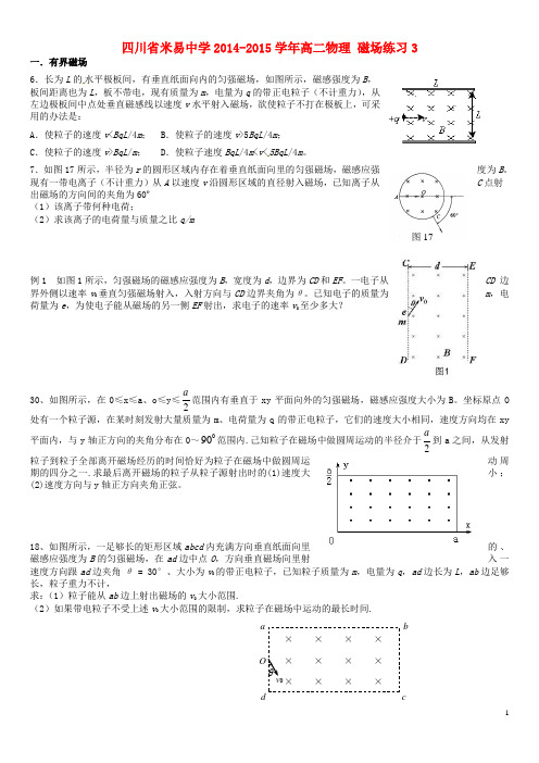 四川省米易中学高二物理磁场练习3