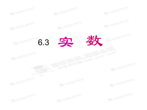 6.3 实数 课件1(数学人教版七年级下册)