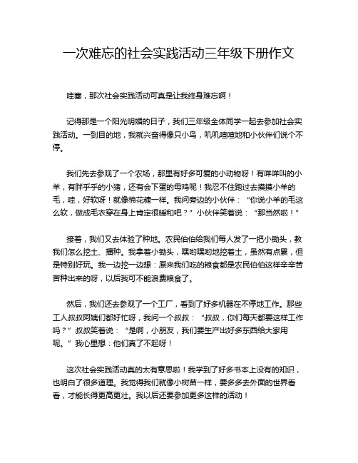 一次难忘的社会实践活动三年级下册作文