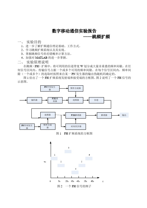 实验报告格式