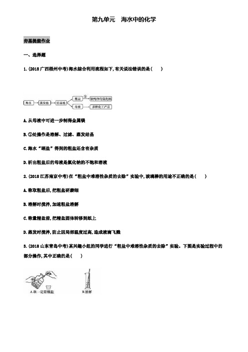 中考化学复习第九单元海水中的化学练习含解析