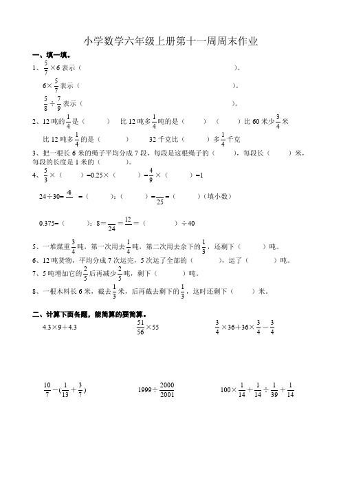 小学数学六年级上册第十一周周末作业