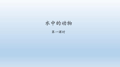 苏科版生物七年级下册：10.1 水中的动物  课件(共49张PPT)