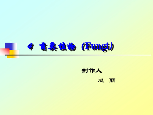 4菌类植物-2017