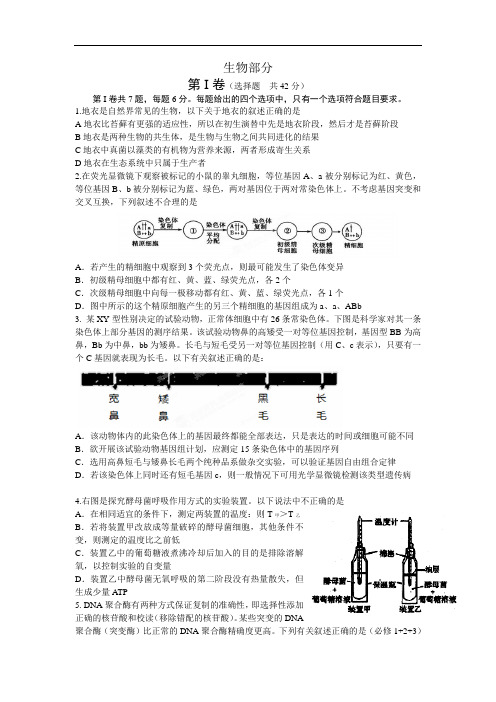 高三生物月考试题带答案-四川省成都外国语学校2014届高三11月月考试题20