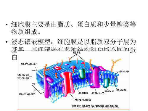 细胞膜的物质转运功能