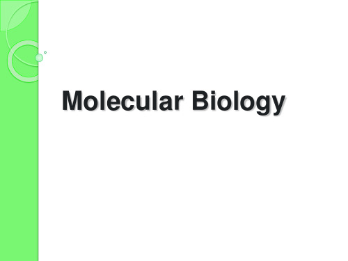 中山大学-分子生物学Molecular Biology-徐辉-基因特异转录因子的作用