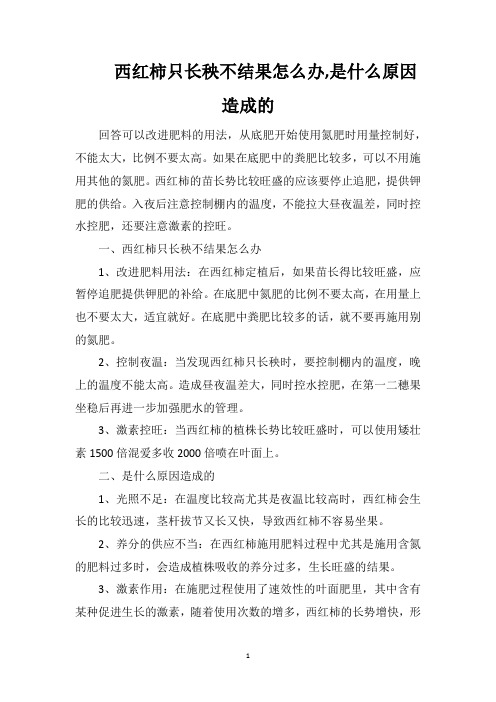 西红柿只长秧不结果怎么办是什么原因造成的