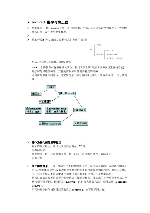 (完整版)酶学与酶工程总结