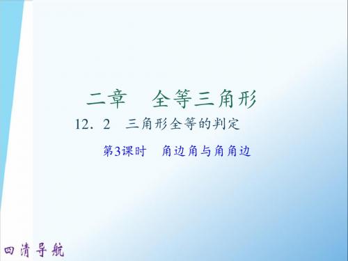 12.2  三角形全等的判定 第3课时 角边角与角角边