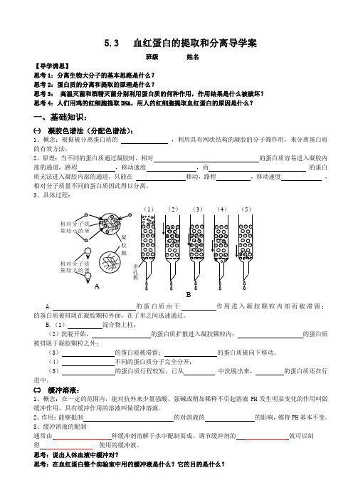 血红蛋白的提取和分离预习学案