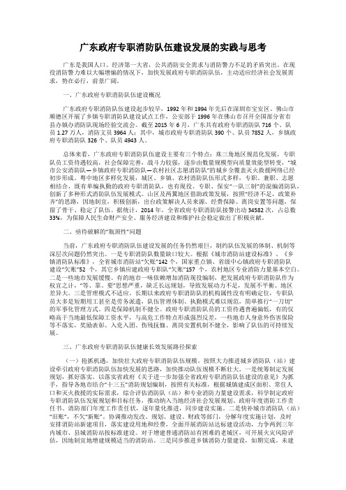 广东政府专职消防队伍建设发展的实践与思考