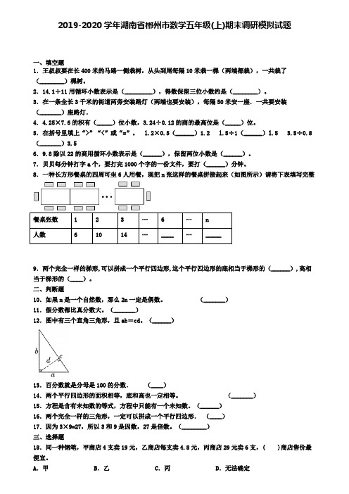 2019-2020学年湖南省郴州市数学五年级(上)期末调研模拟试题