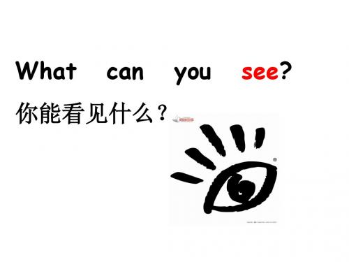 最新湘少版四年级英语下册Unit 3 What can you see ppt课件