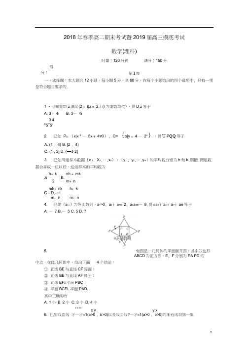 湖南省师大附中2019届高三数学摸底考试试题理