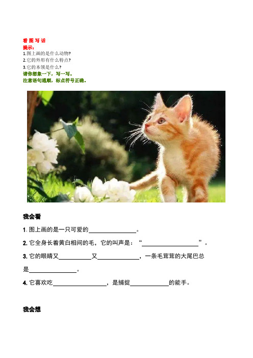 写话范例【看图写话】例文7《小猫咪》 日记7《吹泡泡》