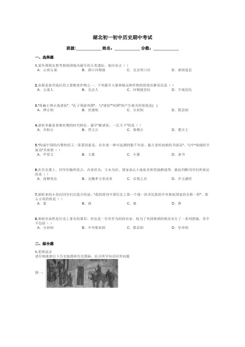 湖北初一初中历史期中考试带答案解析
