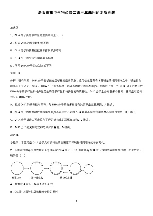 洛阳市高中生物必修二第三章基因的本质真题