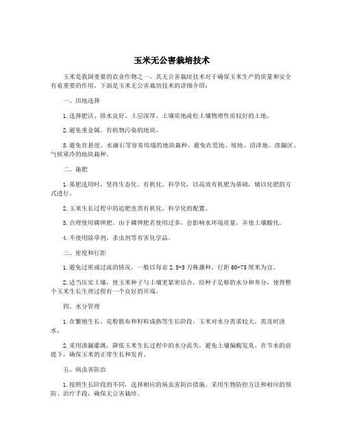 玉米无公害栽培技术