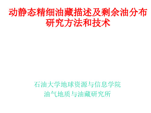 动静态精细油藏描述及剩余油分布研究方法和技术