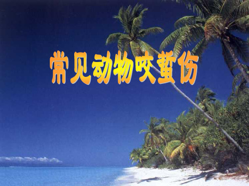 常见动物咬蜇伤PPT课件