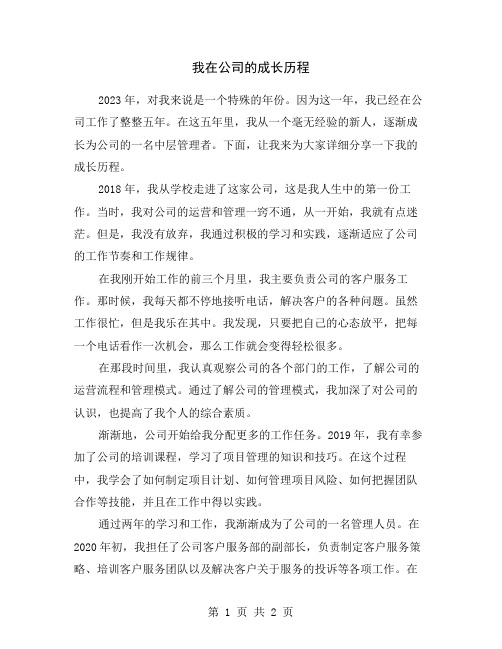 我在公司的成长历程