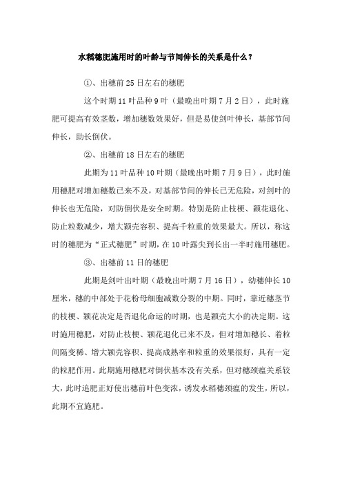 水稻穗肥施用时的叶龄与节间伸长的关系是什么