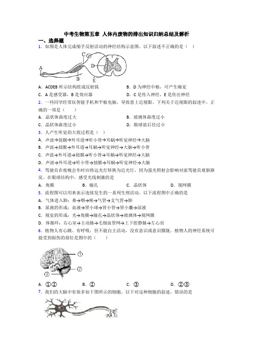 中考生物第五章 人体内废物的排出知识归纳总结及解析