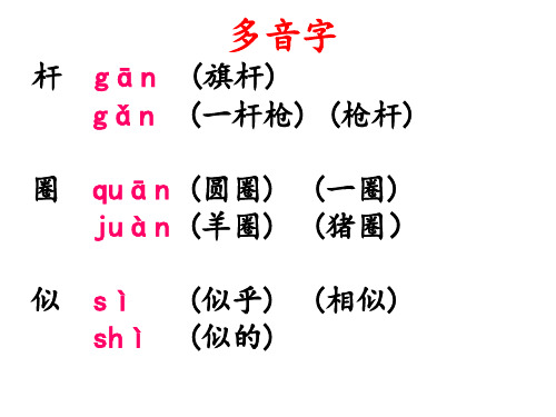 多音字、形近字