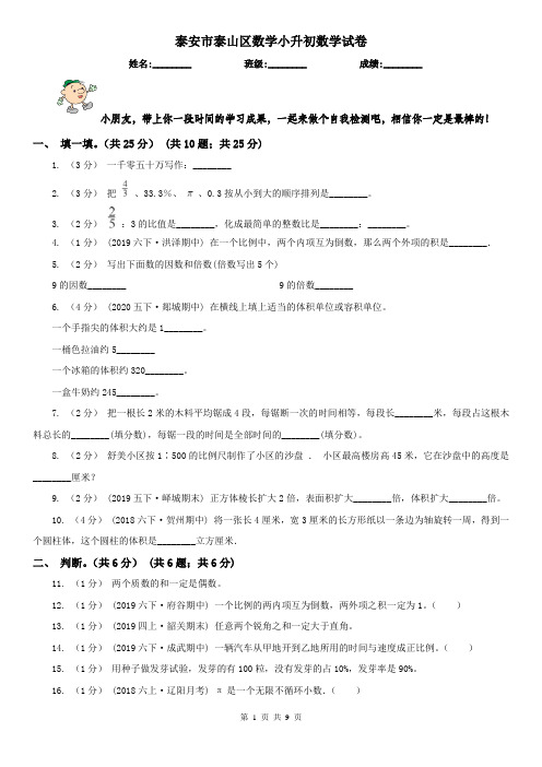 泰安市泰山区数学小升初数学试卷