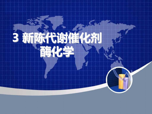 环境生物化学—酶