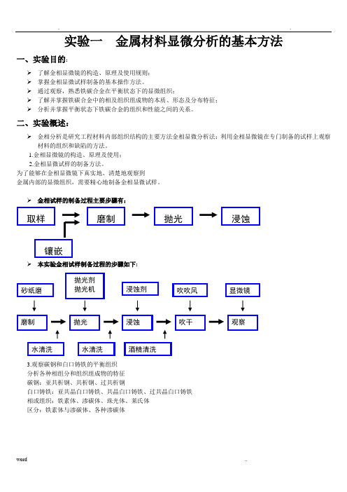 金相实验报告实验报告范本