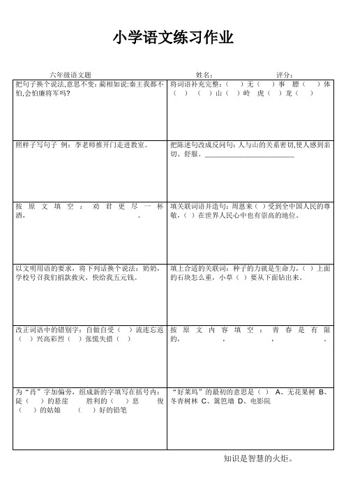 小学语文练习作业75