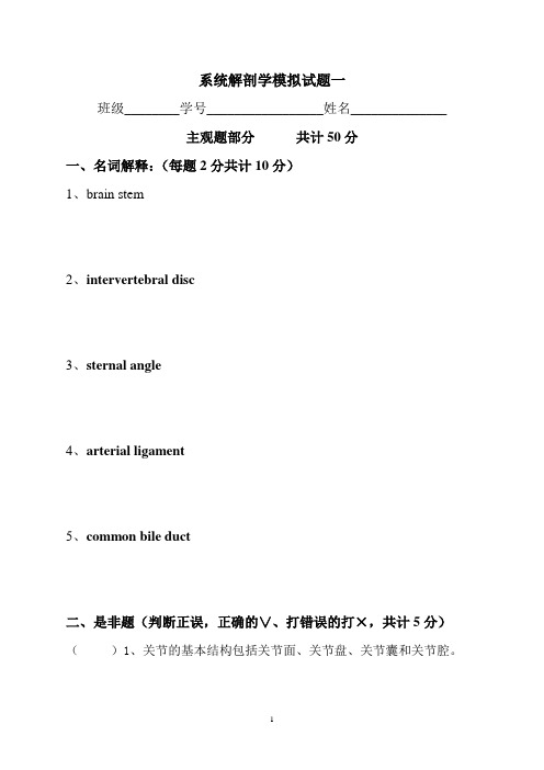 系统解剖学模拟试题一