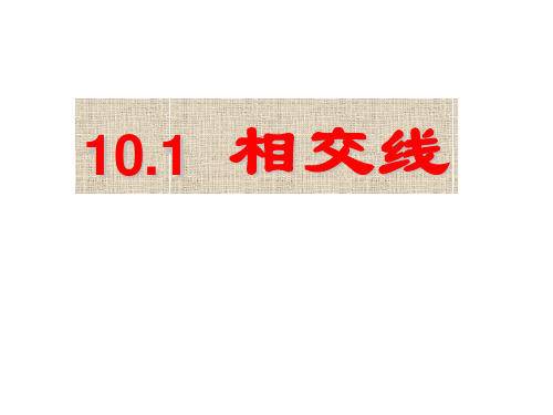 2020-2021学年沪科版 七年级数学下册10.1  相交线课件