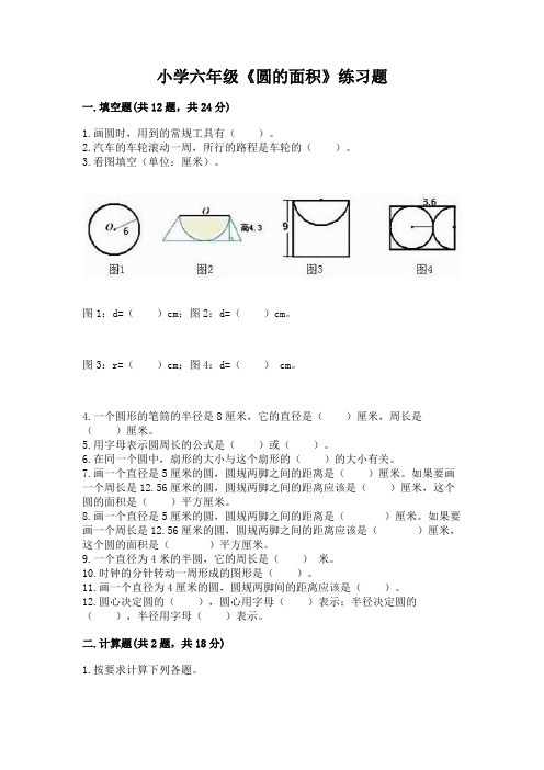 小学六年级《圆的面积》练习题精品(网校专用)