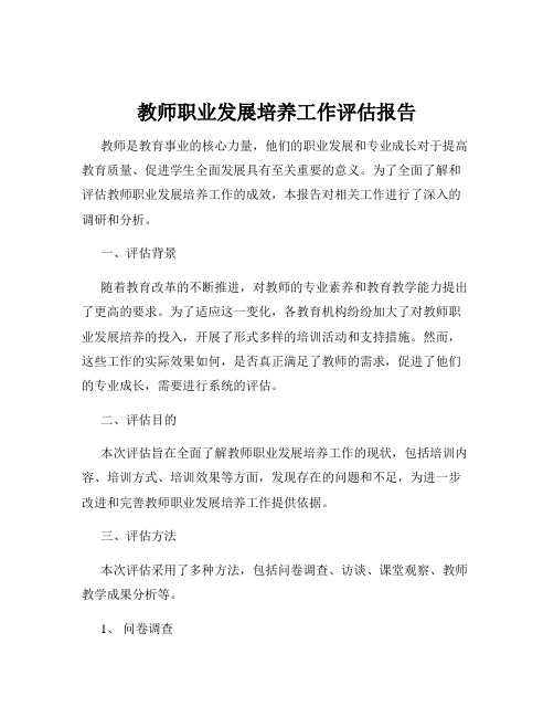 教师职业发展培养工作评估报告