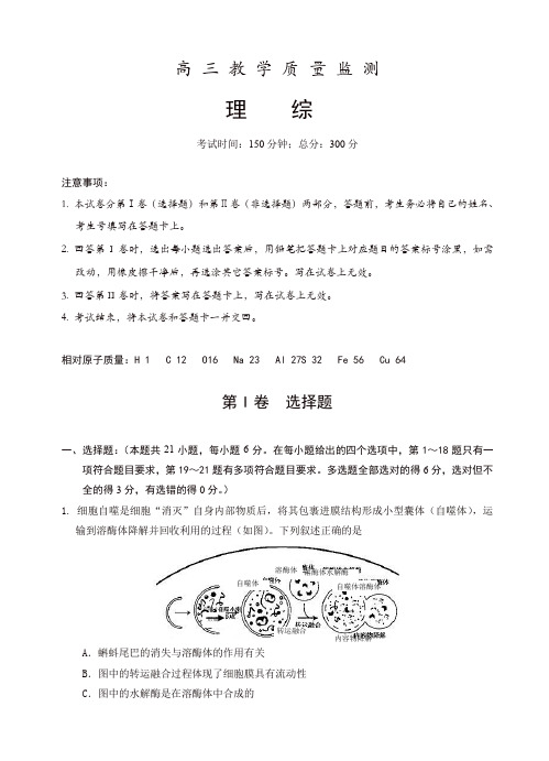 广东省深圳市南山区高三上学期期末教学质量监测理综试卷(有答案)