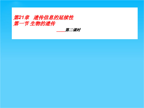 八年级生物下册 生物的遗传 第一课时课件 苏科版