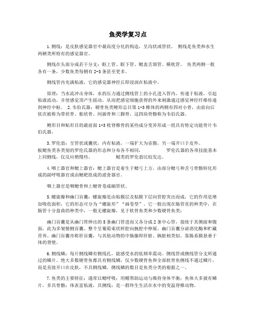 鱼类学复习点