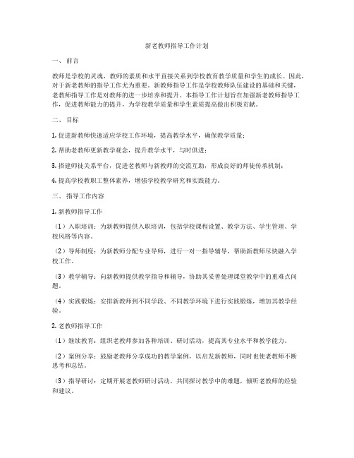 新老教师指导工作计划