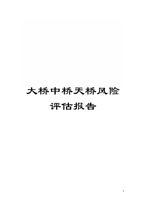 大桥中桥天桥风险评估报告